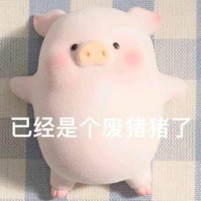 1114127 阿赖耶识