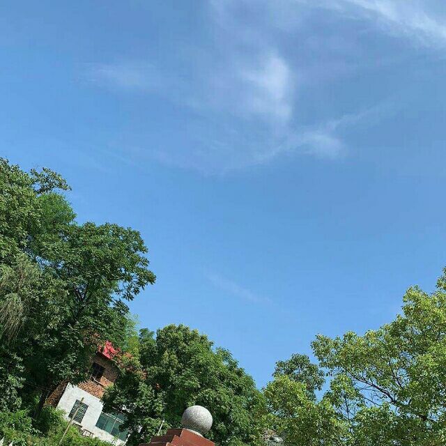1114625 康康