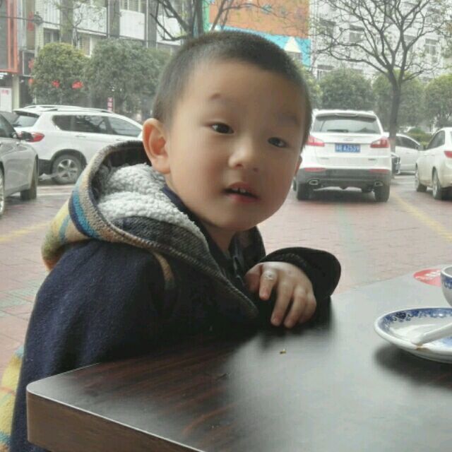 1114628 虫子