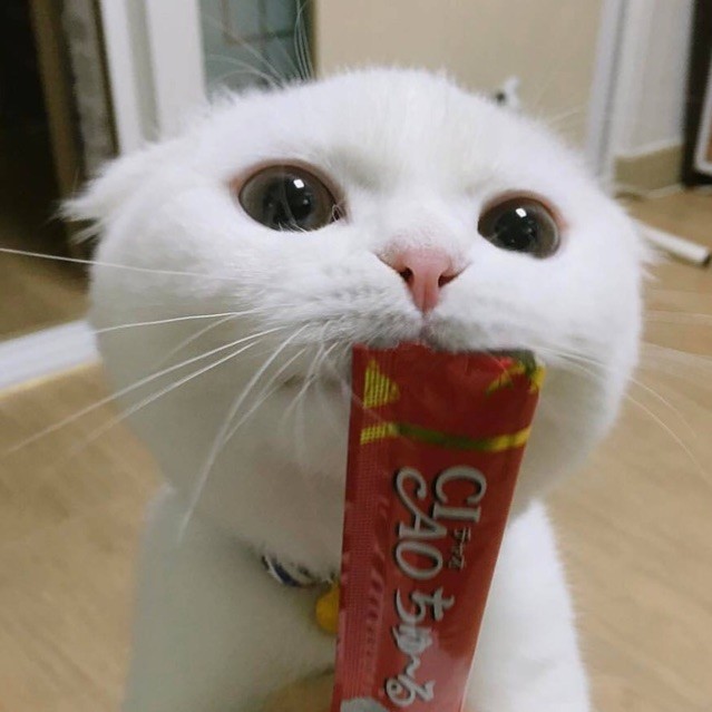 1114744 啊哦额