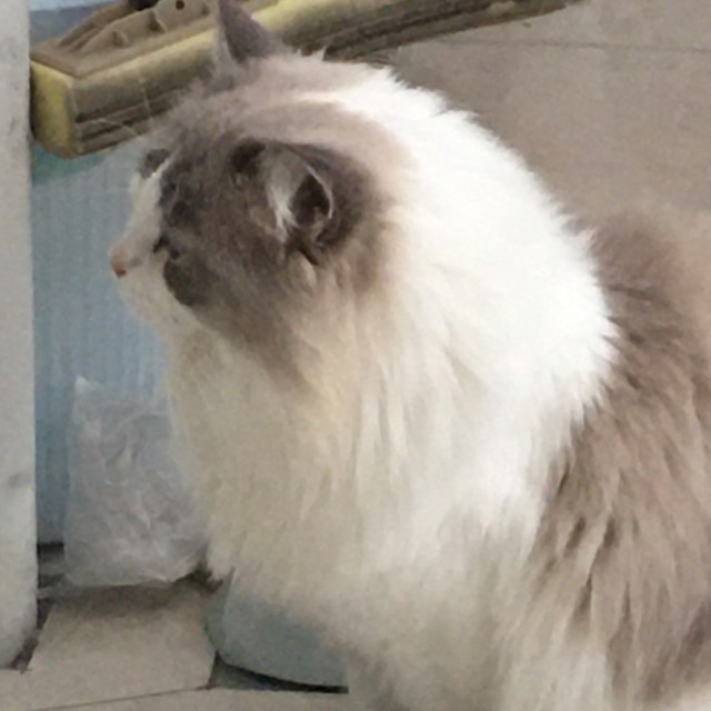 1114850 黄馨