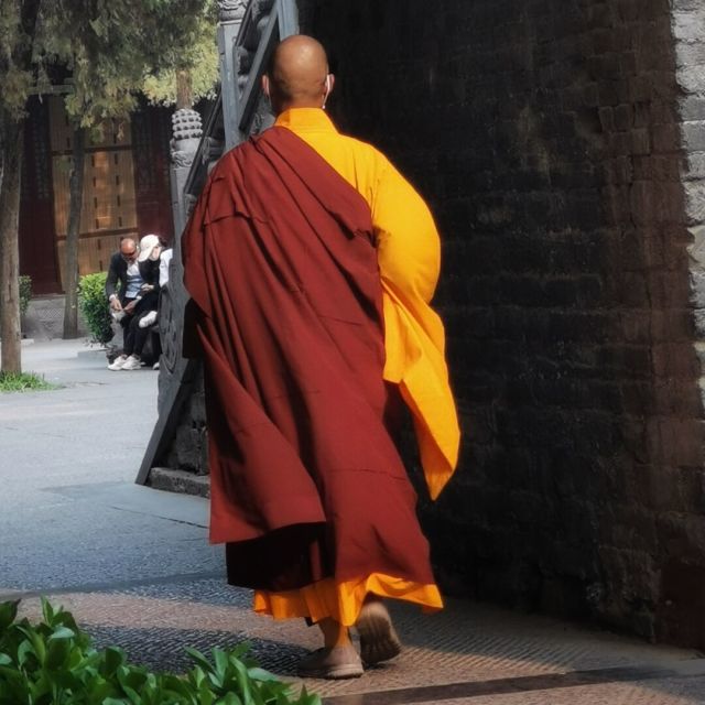 1114923 ≯陌染¥