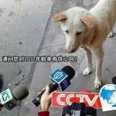 1115072 路人丙