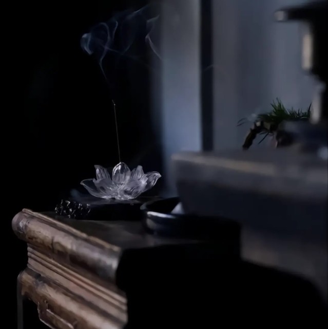 1115331 淇淇宠物医院