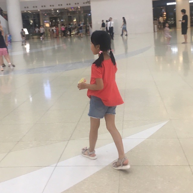 1116391 风信子