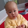 1116559 麦客/:+嗑睡