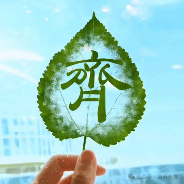 1116905 尘世美