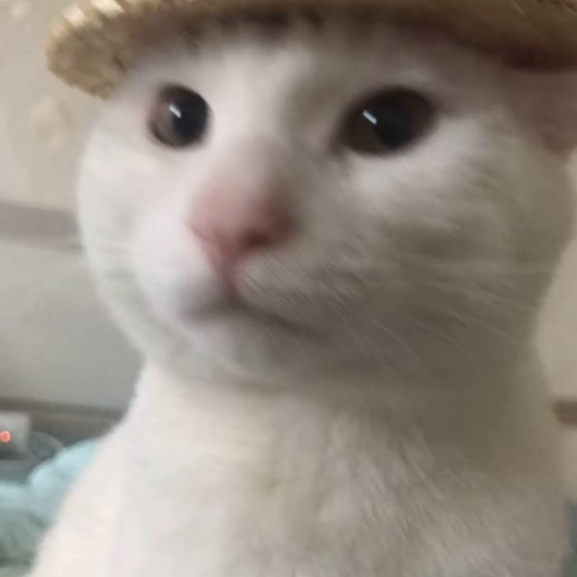 1116961 小宝