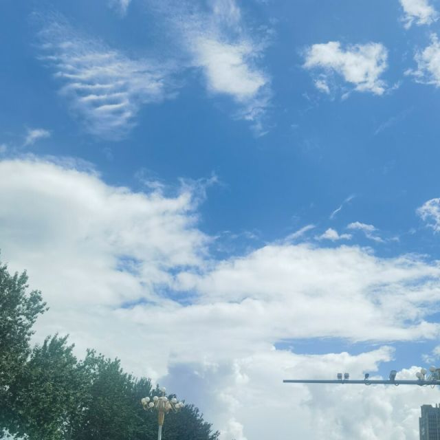 1117299 美音美乐