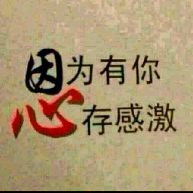 1117543 相见不如怀念