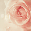 1118021 ☆┊CCゞ