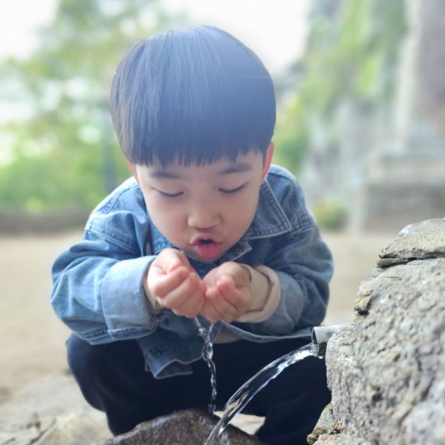 1118141 锋