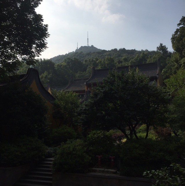 1118664 茶底世界