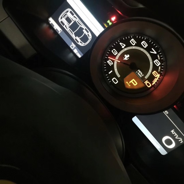 1118751 S.Ling.Y