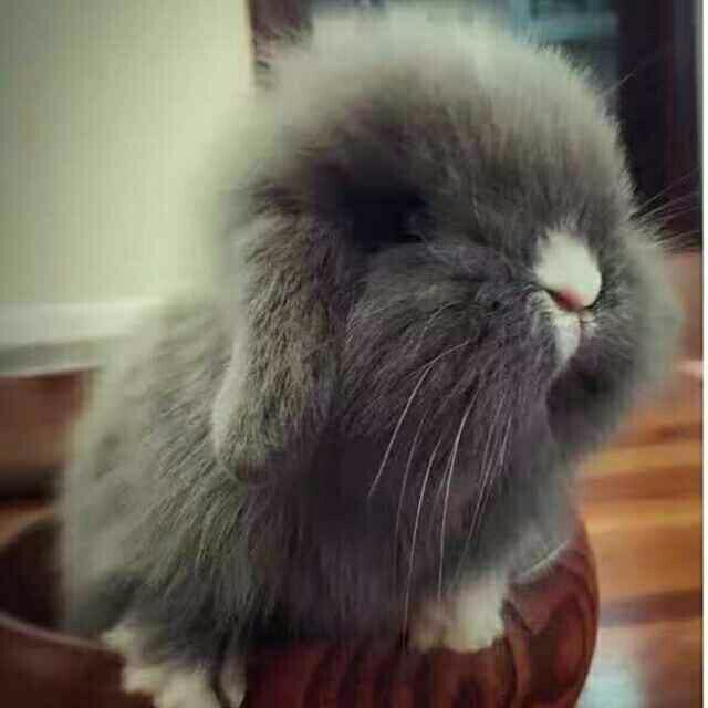 1118783 起名太麻烦