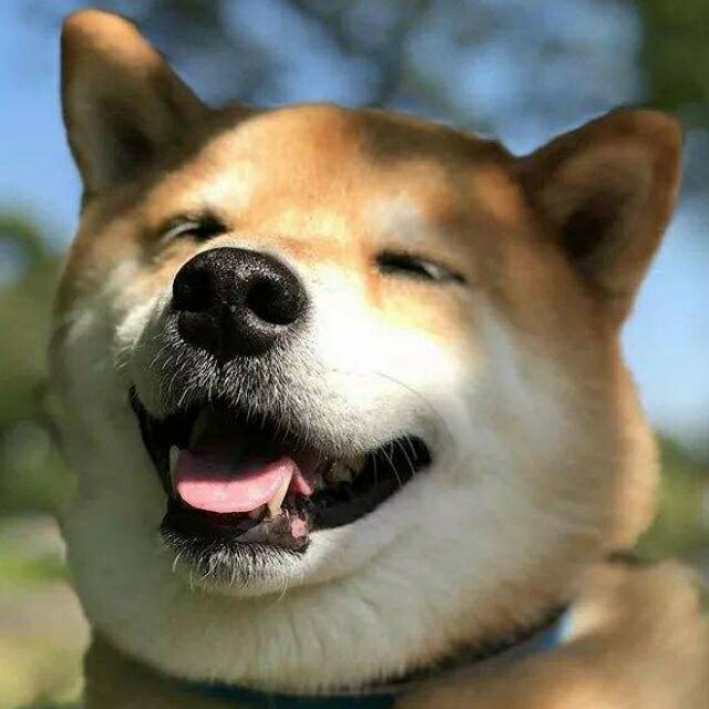 1120075 唐不苦