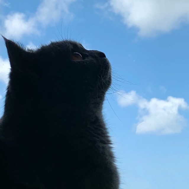 1120456 しíυ