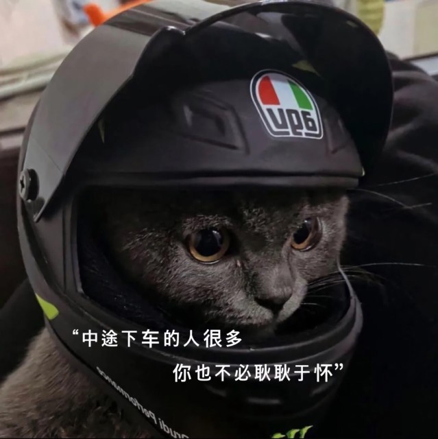 112056 陈的的...