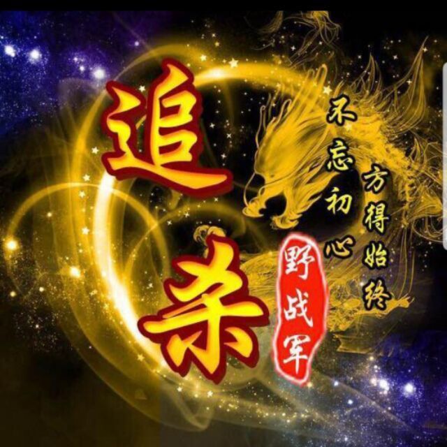 1121178 追杀丶野战军
