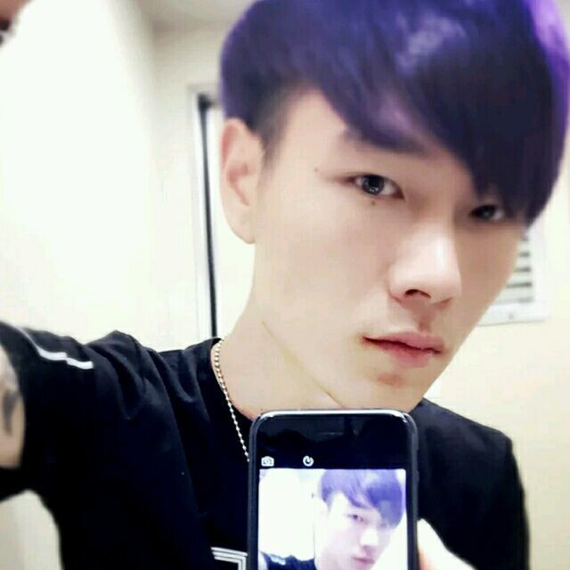 1121233 斑马A座摄影