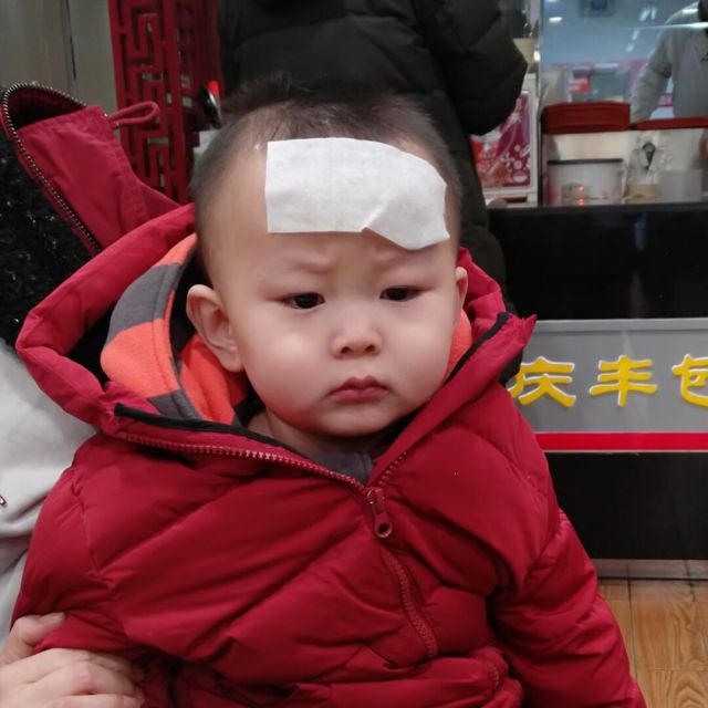 1121248 暗之小熊猫