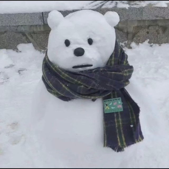 1121253 苗苗