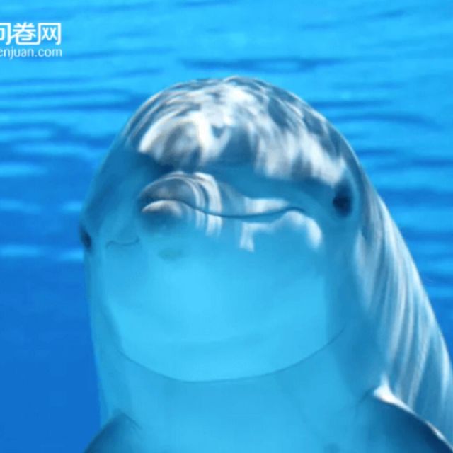 112209 醉清风