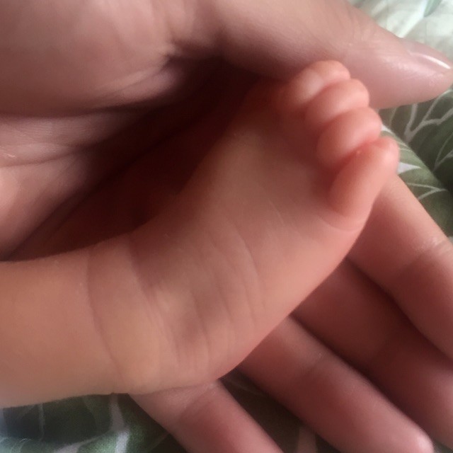 1122109 沈安之