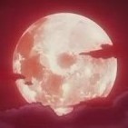 1122394 张大月