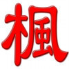 1122559 秋风落叶