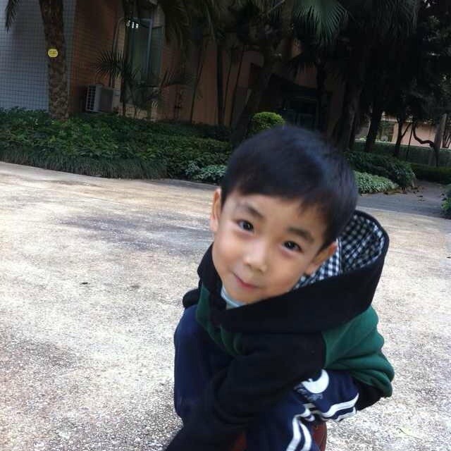 1122619  影子