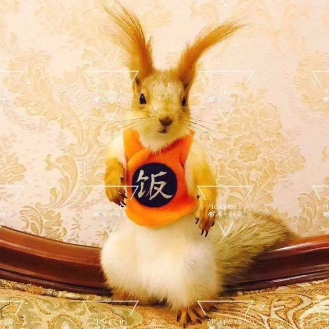 112309 ★阳阳★