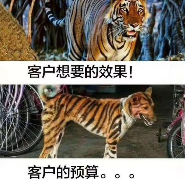 1123839 BnH
