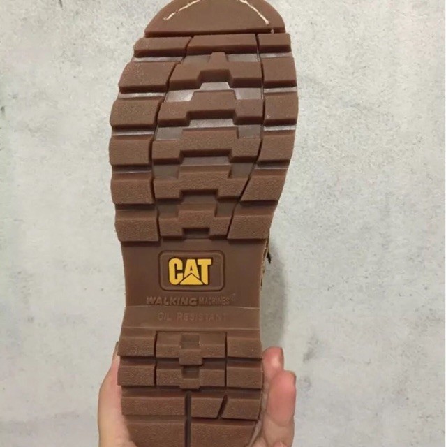 1123894 小唐豆