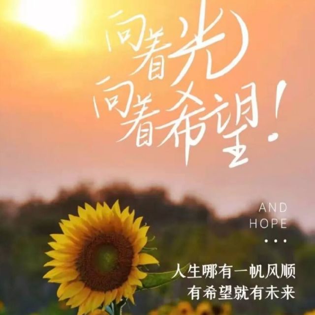 1124242 陶陶然｡◕‿◕｡