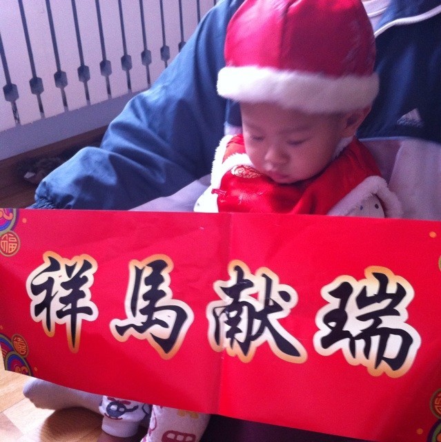 1124455 虫儿