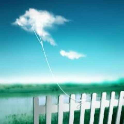 1125238 flyincloud