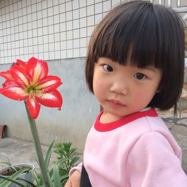 1125276 林zǐ