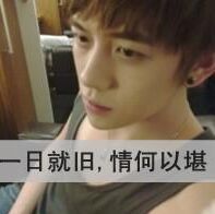 112537 辞情speech