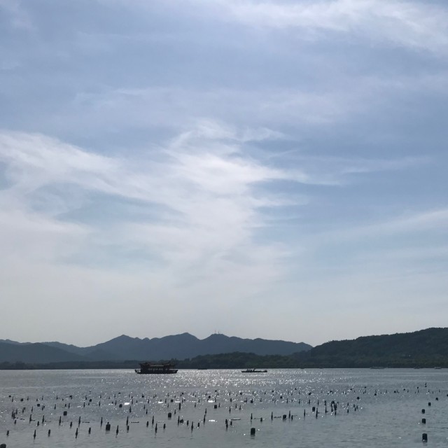 1126828 有为