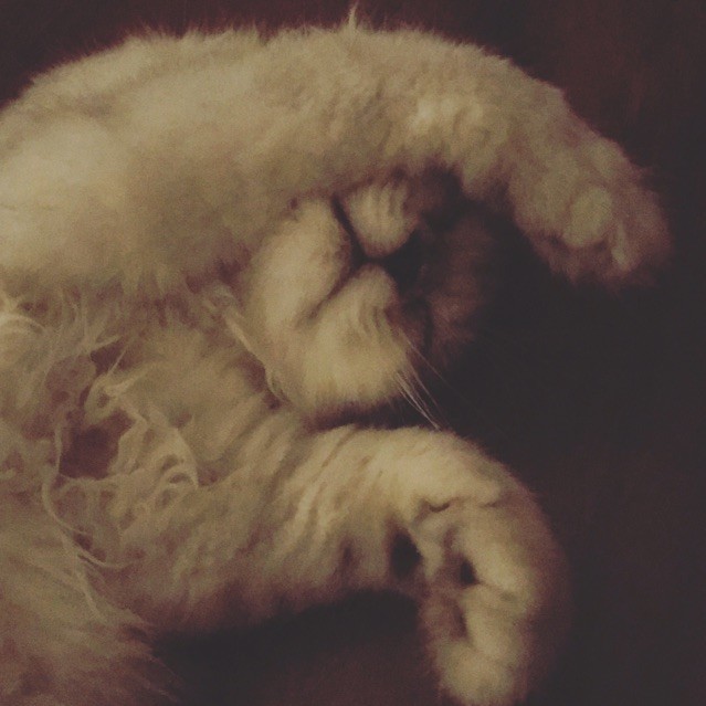 1127271 Simon