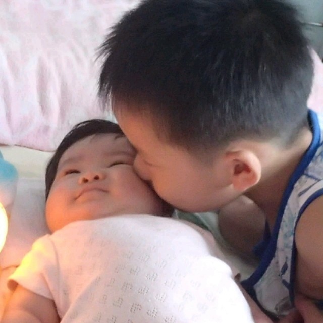 1127375 毛毛