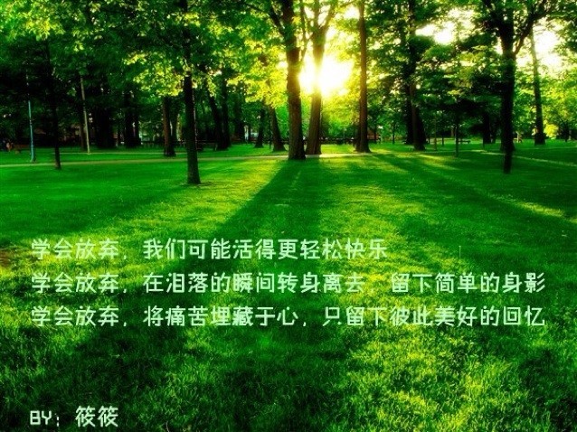 1127540 小花猫