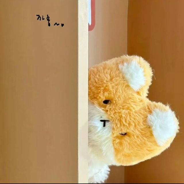 1127771 静静
