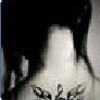 1127783 人魚の眼淚
