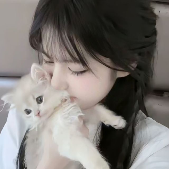 1128300 安静