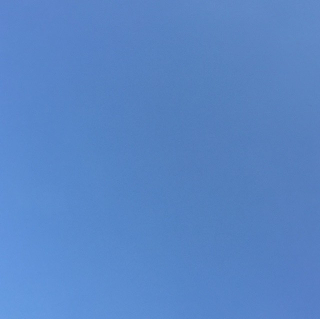 1128540 大花