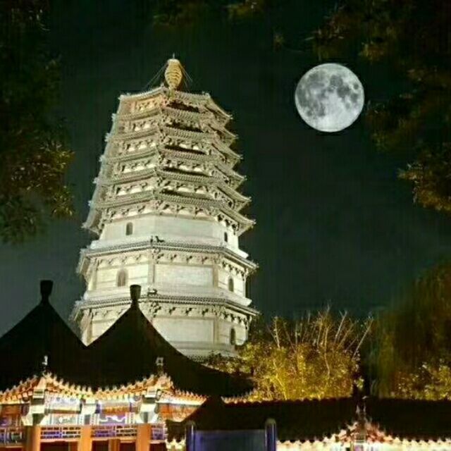 1128557 无尘
