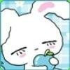 1128665  鑫