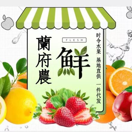 1129590 飞蚁特价团队-团长